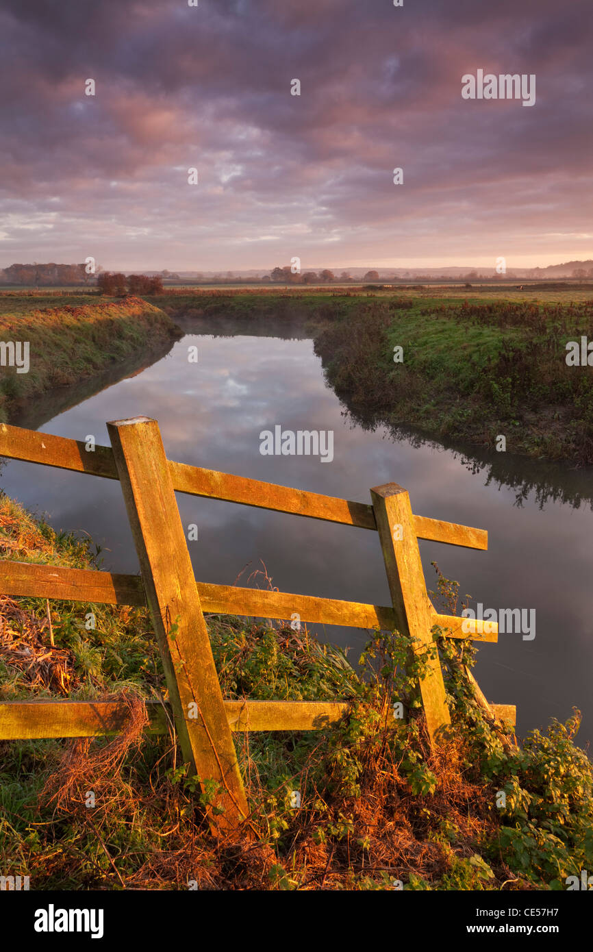 Brue rivière serpentant à travers les niveaux de Somerset près de Glastonbury, Somerset, Angleterre. L'automne (novembre) 2011. Banque D'Images