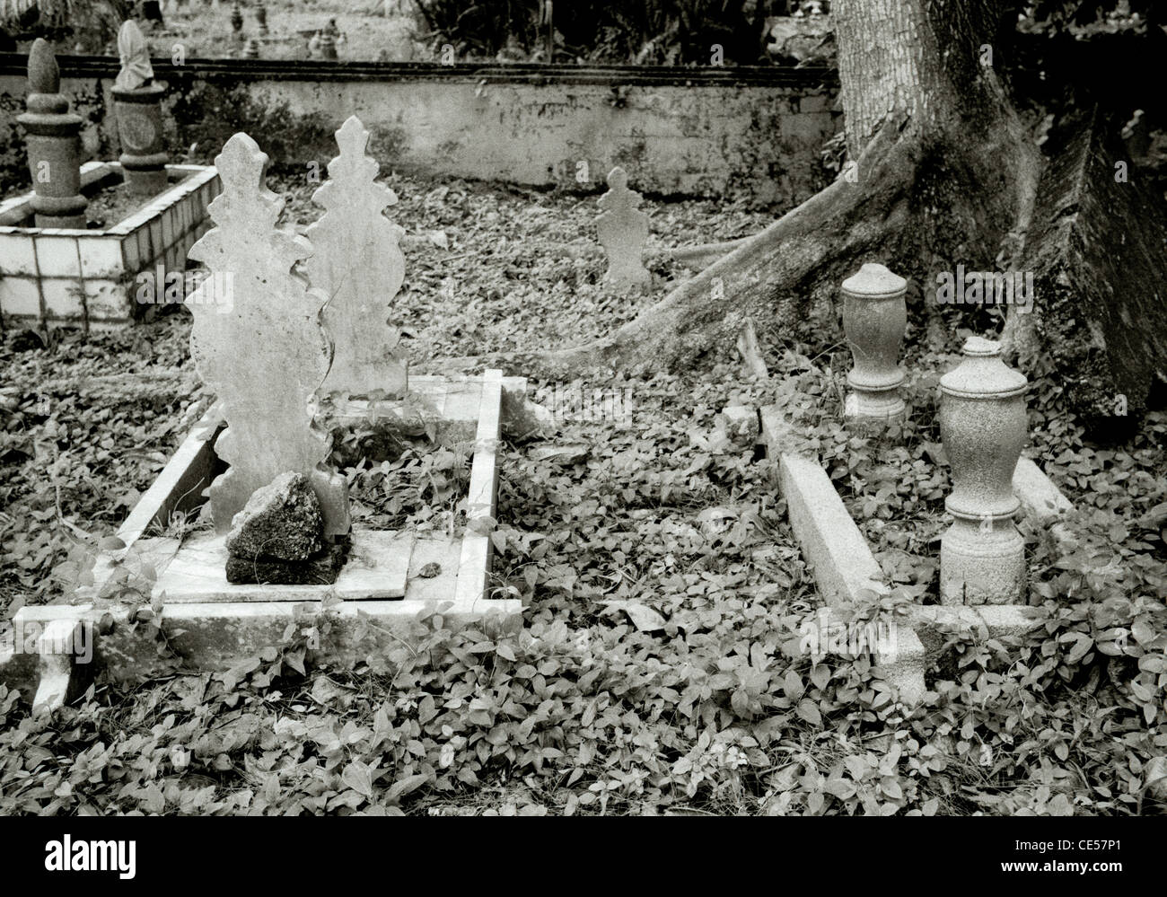 La photographie de voyage - Kampong Glam cimetière en Kampong Glam quartier arabe à Singapour en Asie du Sud-Est Extrême-Orient. Calme sérénité Banque D'Images
