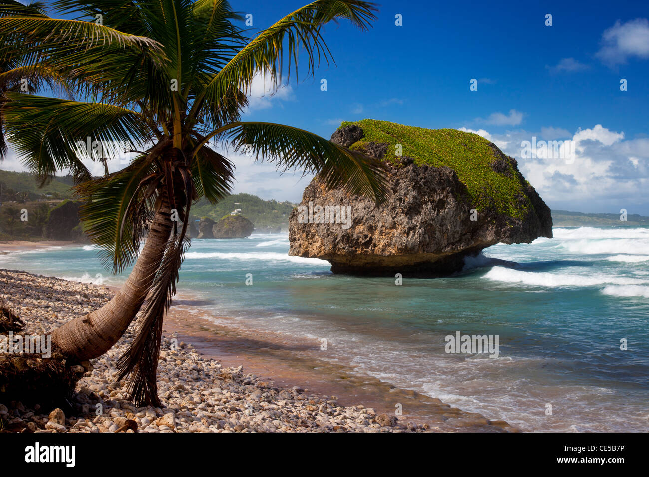 Patrick Rocher le long de la côte est de la Barbade, Antilles Banque D'Images