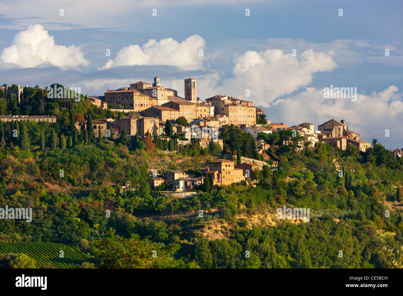 Montepulciano, Val d'Orcia, Toscane, Italie, Europe Banque D'Images