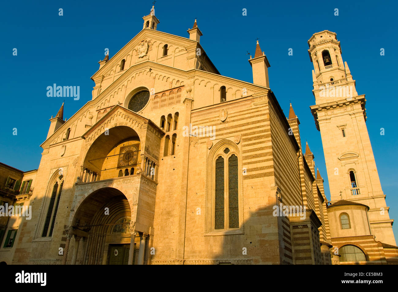 La cathédrale de Vérone, Verona, Italie Banque D'Images