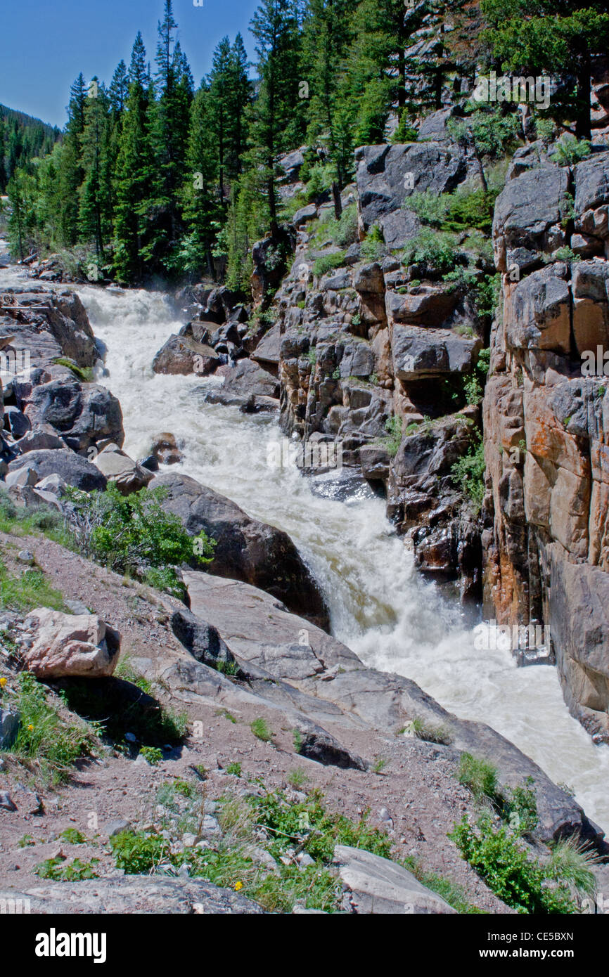 Chutes de la Powder River dans le nord du Colorado Banque D'Images