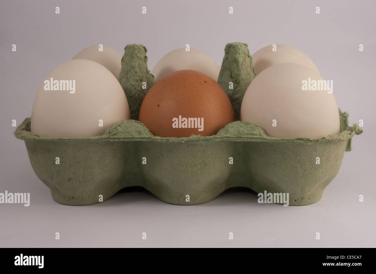 Les oeufs de canard avec un oeuf de poule brun Banque D'Images