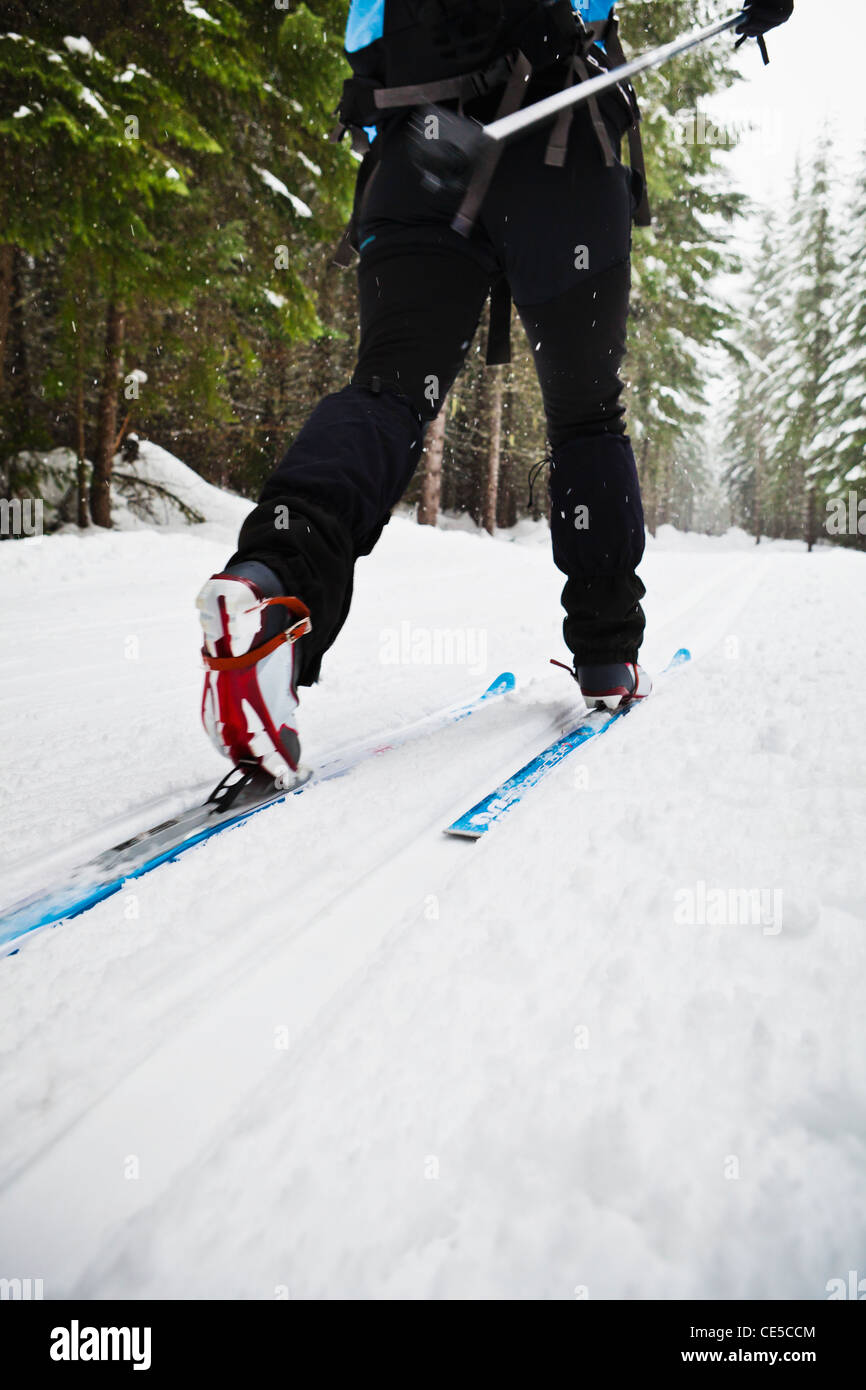 Low angle view of a woman ski de fond en style classique sur une piste damée, Cabin Creek, WA. Banque D'Images