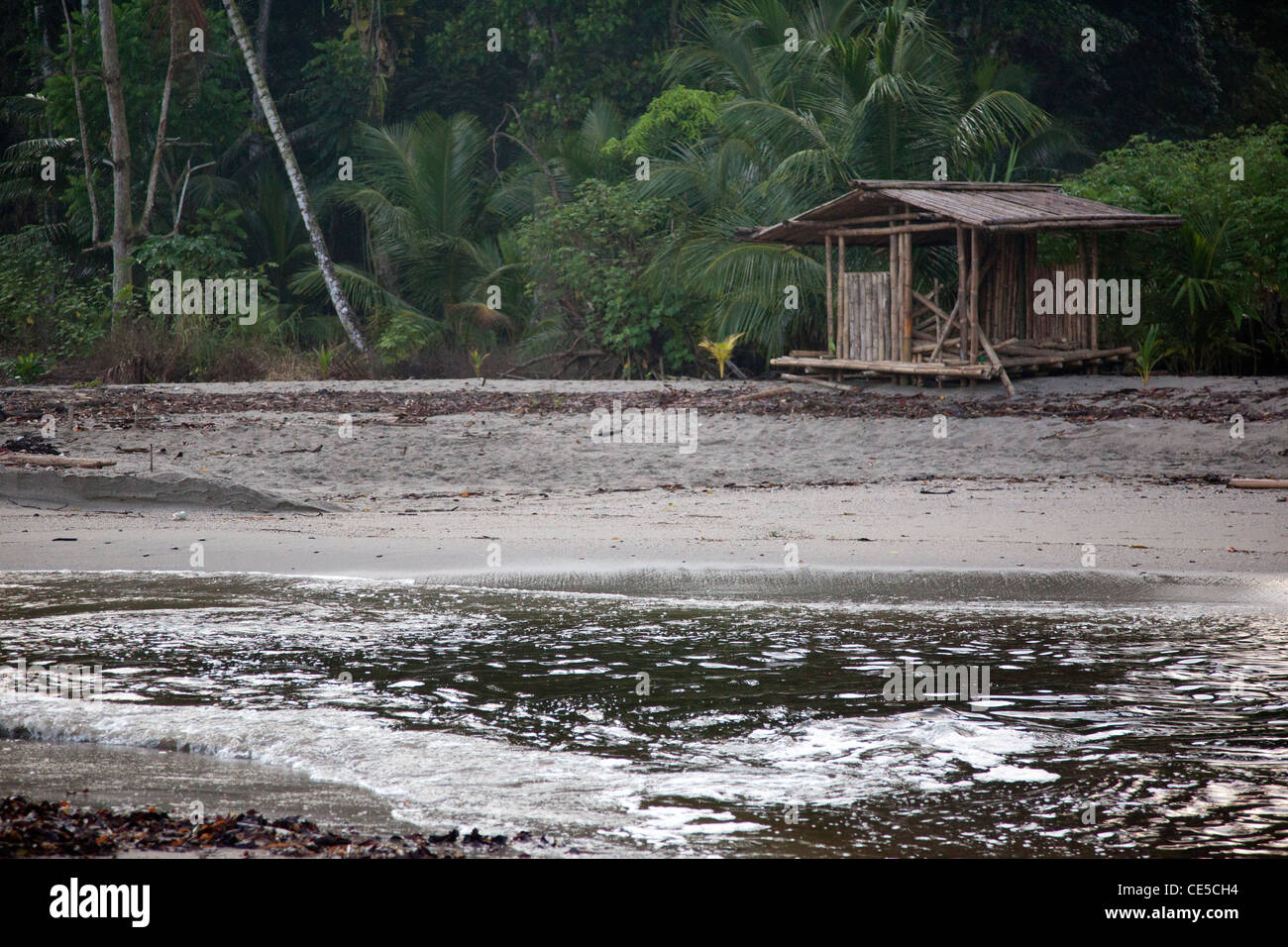 Grande Rivière, un village de pêcheurs sur l'angle nord-est de Trinidad c'est un site de nidification de la tortue luth. Banque D'Images