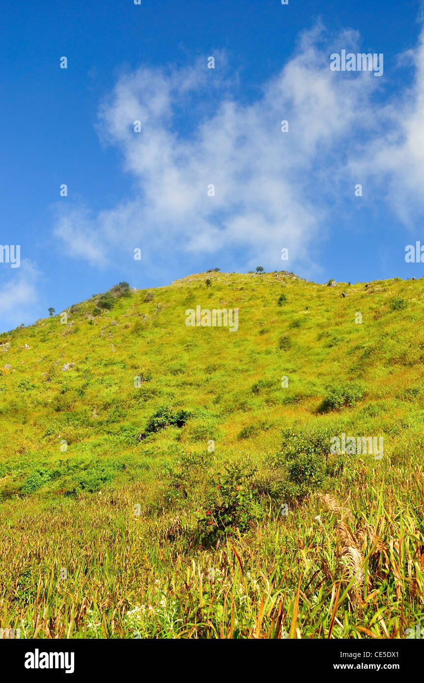Scène de 'la montagne' Chiang Dao, Thaïlande Banque D'Images