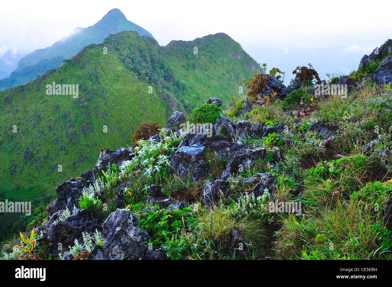 Scène de 'la montagne' Chiang Dao, Thaïlande Banque D'Images