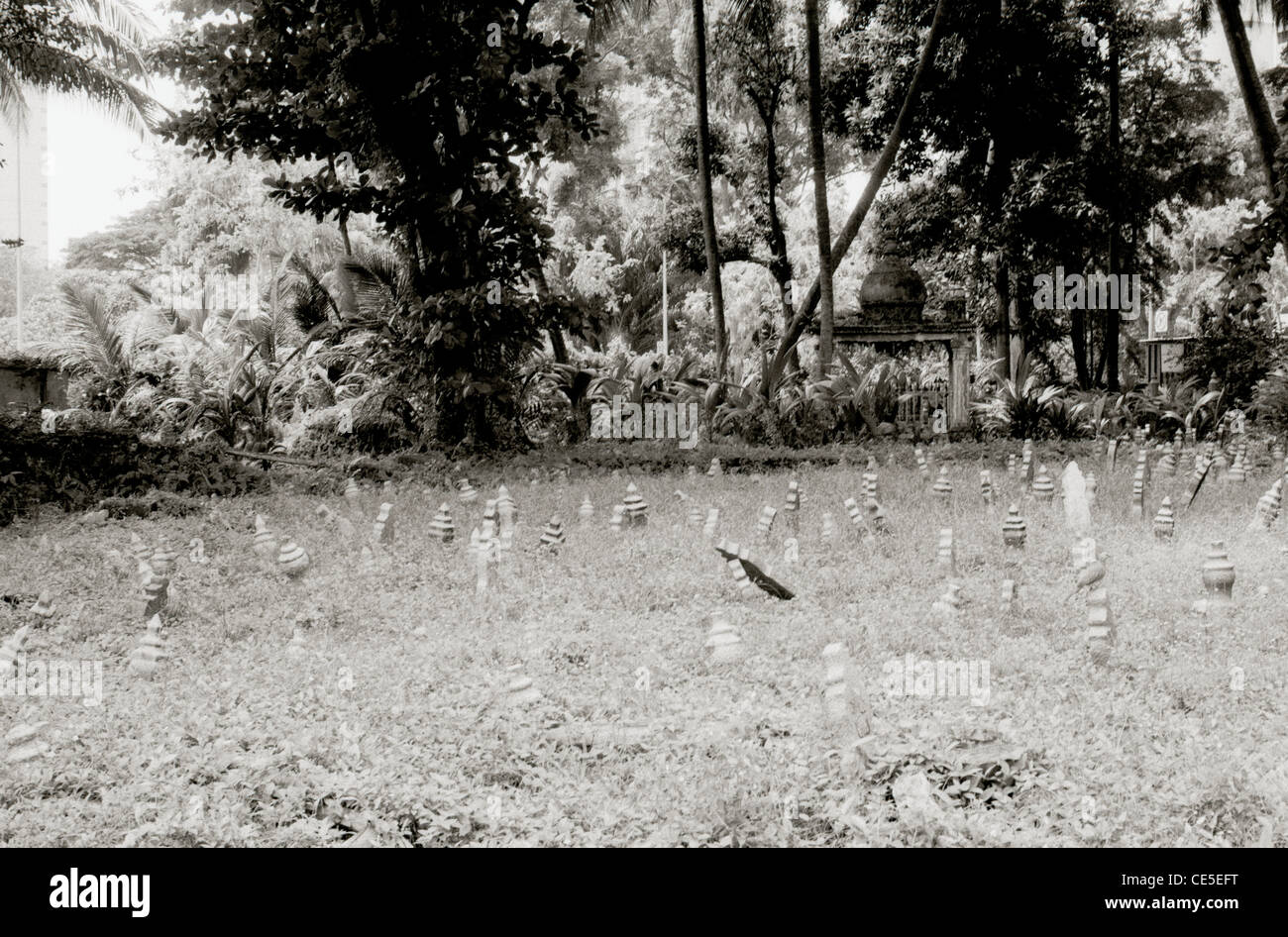 La photographie de voyage - Kampong Glam cimetière en Kampong Glam quartier arabe à Singapour en Asie du Sud-Est Extrême-Orient. Banque D'Images