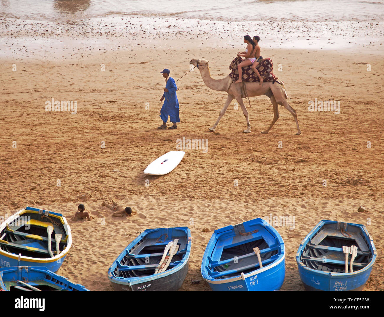 Promenades en chameau sur la plage de Taghazout, au nord d'Agadir, Maroc Banque D'Images
