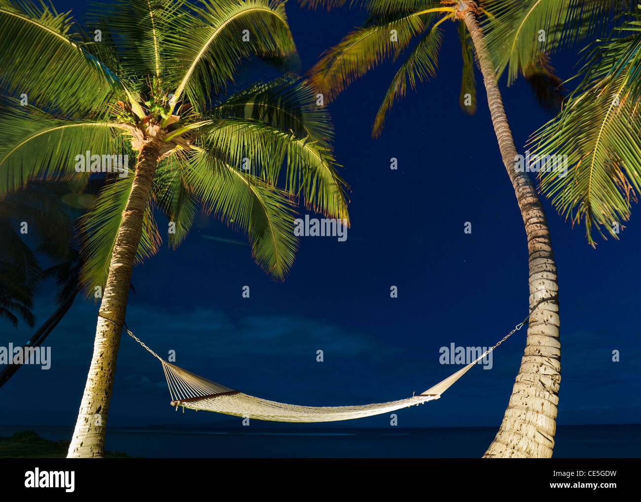 Nuit tropicale, palmiers et Hamac Banque D'Images