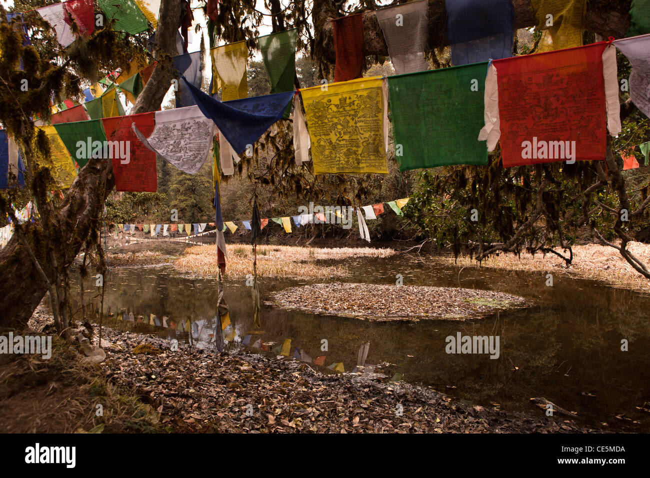 L'Inde, de l'Arunachal Pradesh, Tawang, Thongmen Gompa, les drapeaux de prières colorés autour du lac sacré Banque D'Images