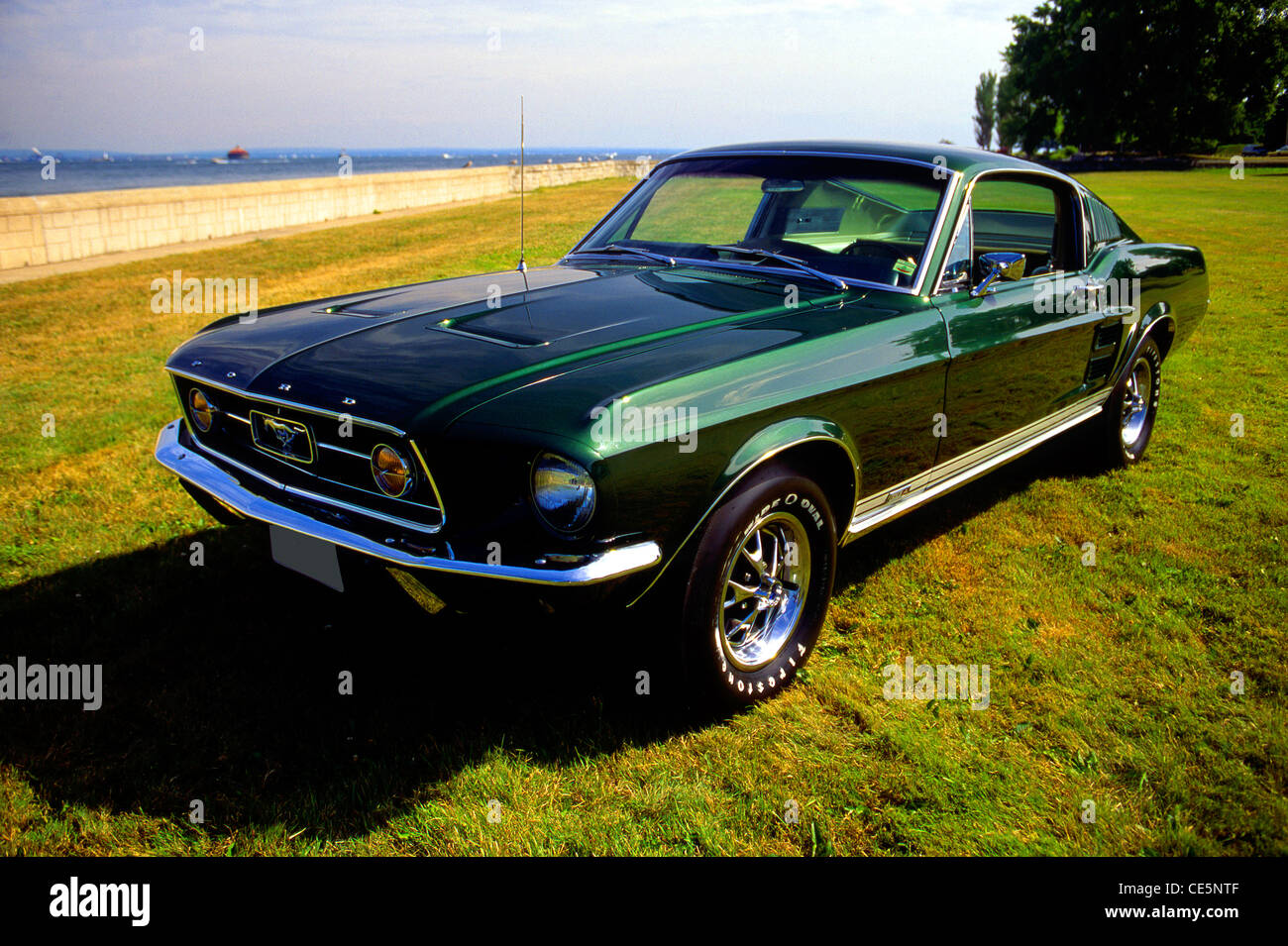 1967 Ford Mustang Fastback GTA Photo Stock - Alamy