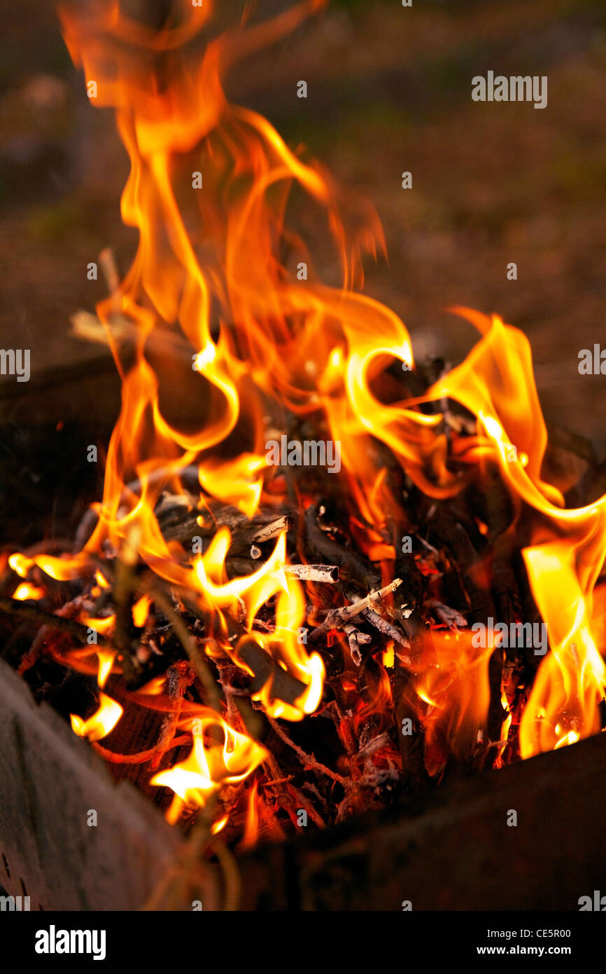 Libre de feu dans un barbecue en forêt Banque D'Images