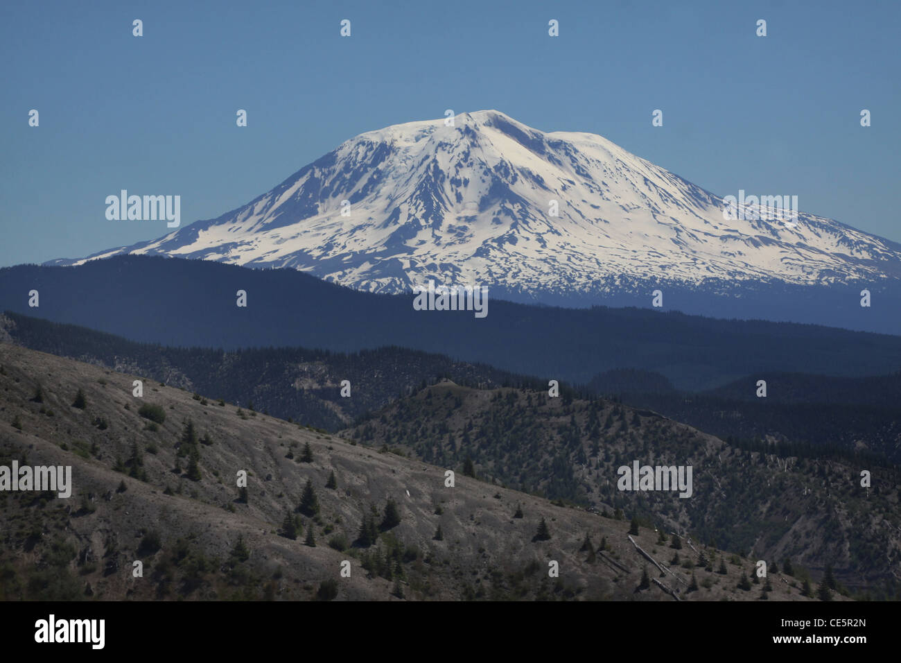 Volcan Mont Adams washington Banque D'Images