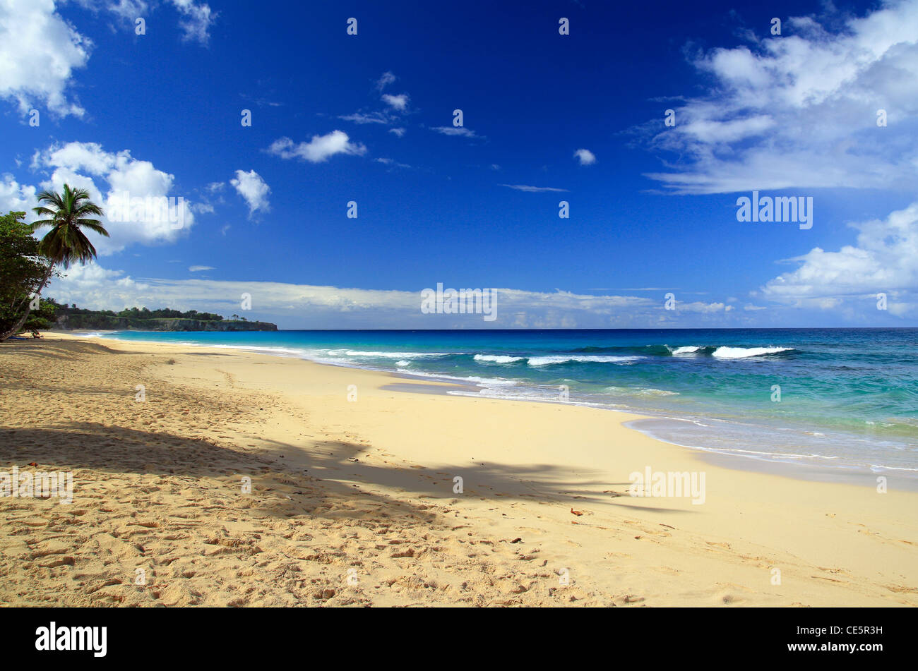 Beau panorama de ciel bleu profond et la mer des Caraïbes Banque D'Images