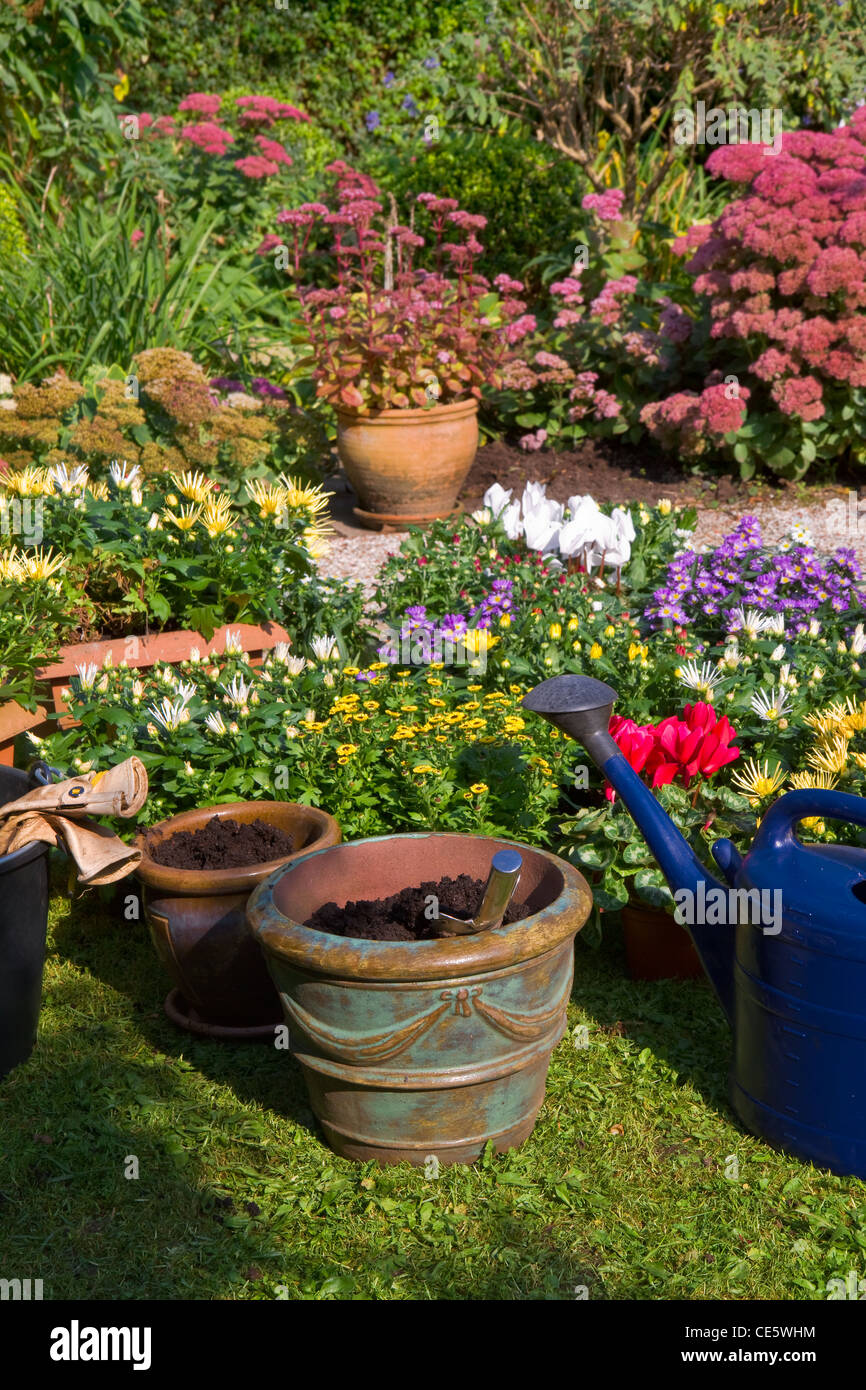 Jardin avec fleurs d'automne en septembre - La plantation de nouveaux végétaux en pots et -boîtes Banque D'Images