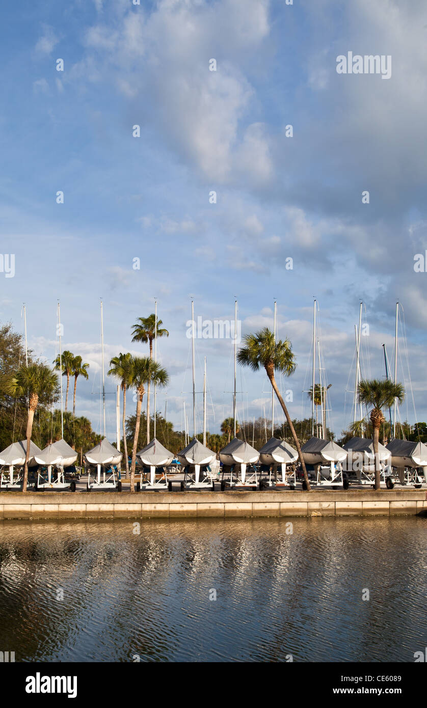 Rangée de voiliers sur les remorques - Centre-ville de Saint Petersburg en Floride Marina - Banque D'Images