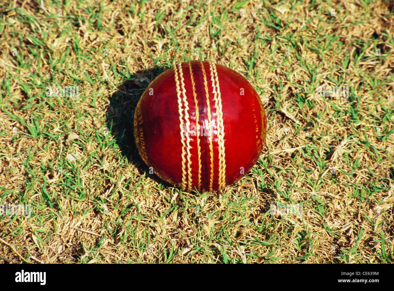 Balle de cricket de saison sur l'herbe Banque D'Images