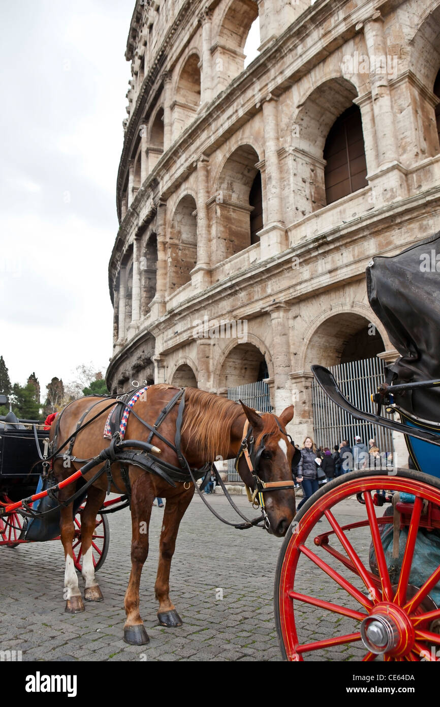 Des calèches pour des excursions touristiques à l'extérieur du Colisée à Rome, Latium, Italie Banque D'Images