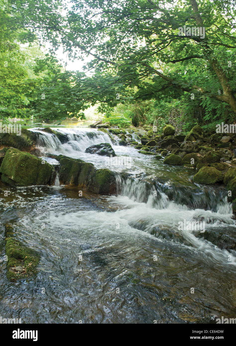 Les chutes d'eau par le Moulin du curé à Caldbeck village traditionnel de Cumbrie Lake District Cumbria Uk l'heure d'été Banque D'Images