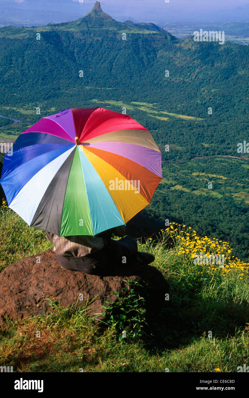 Couleurs arc-en-ciel coloré parapluie en paysage ; matheran ; ghats de l'Ouest ; maharashtra ; inde ; asie Banque D'Images