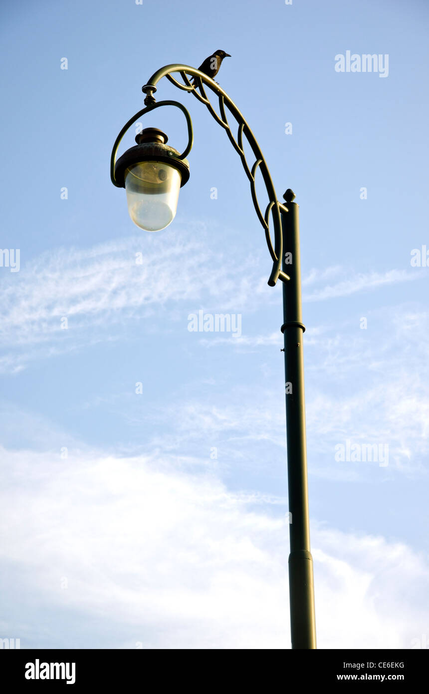 Lampe en verre décoratif en métal et d'éclairage du parc pôle crow Banque D'Images