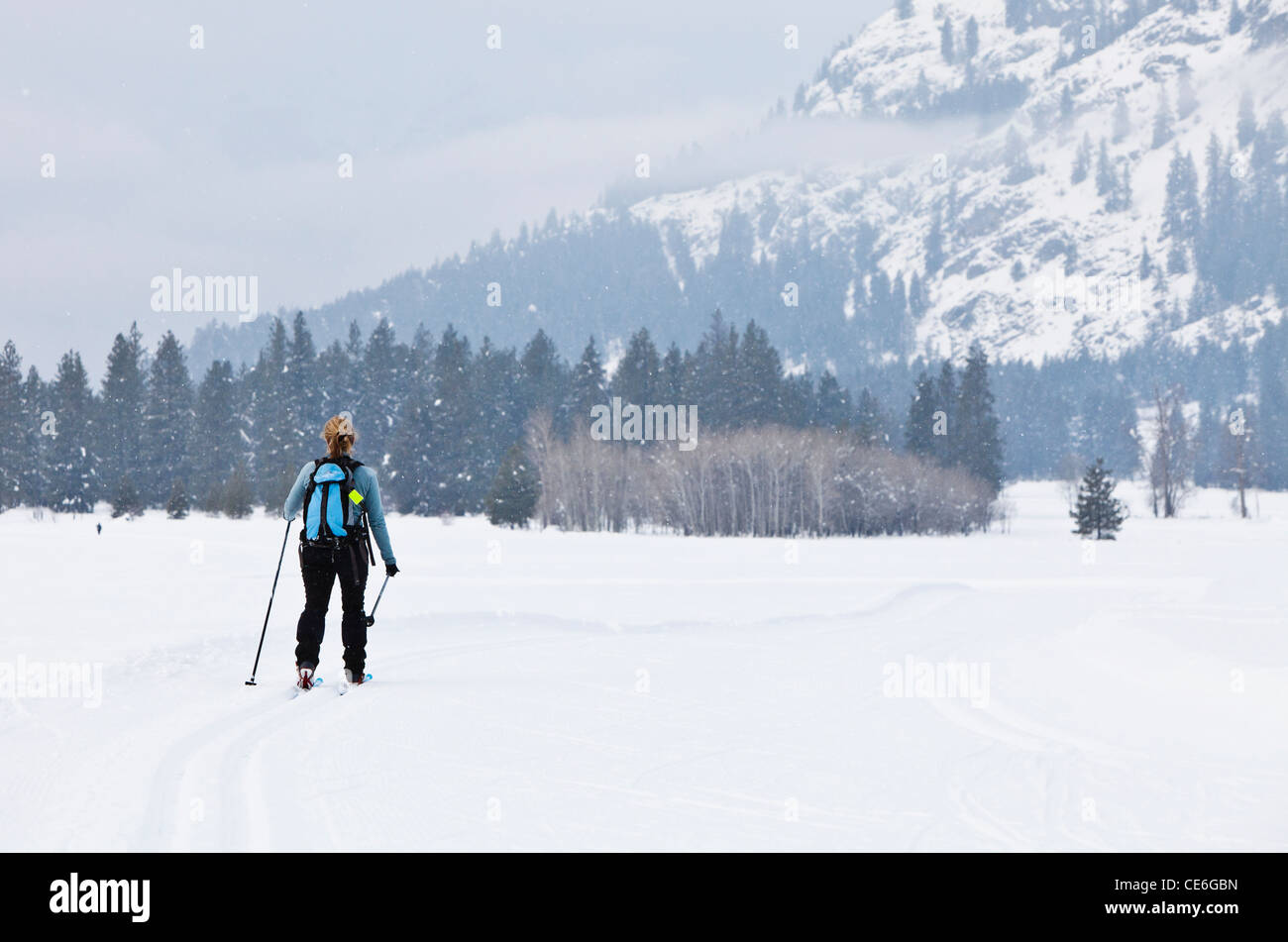 Une femme le ski sur les pistes de ski Les pistes de ski de fond dans Mazama, Washington, USA. Vallée Methow. Banque D'Images