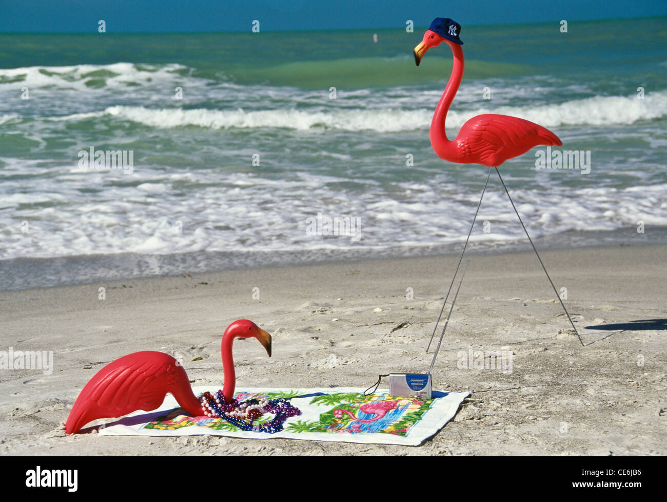 Plastic Flamingees couple appréciant la plage, humour, Floride, États-Unis Banque D'Images