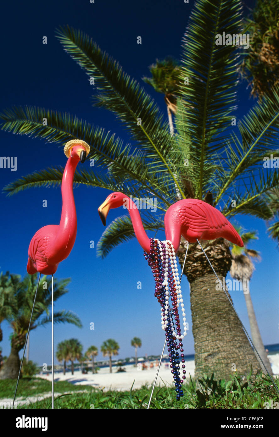 Plastic Flamingees couple appréciant la plage, humour, Floride, États-Unis Banque D'Images