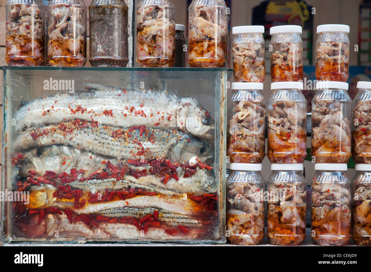 Conserves de poissons produits affichés dans le bazar d'Assouan, Egypte Banque D'Images