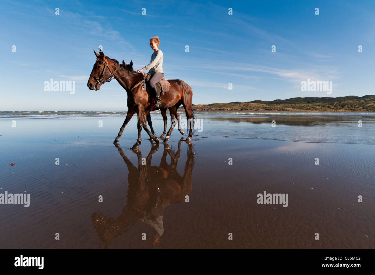Les femmes d'équitation et cheval de formation en mer, New Zealand Raglan Banque D'Images