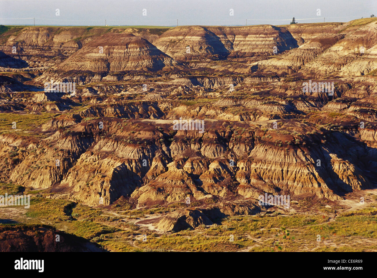 Horseshoe Canyon près de Drumheller ; Calgary ; Alberta ; Canada ; Amérique du Nord Banque D'Images