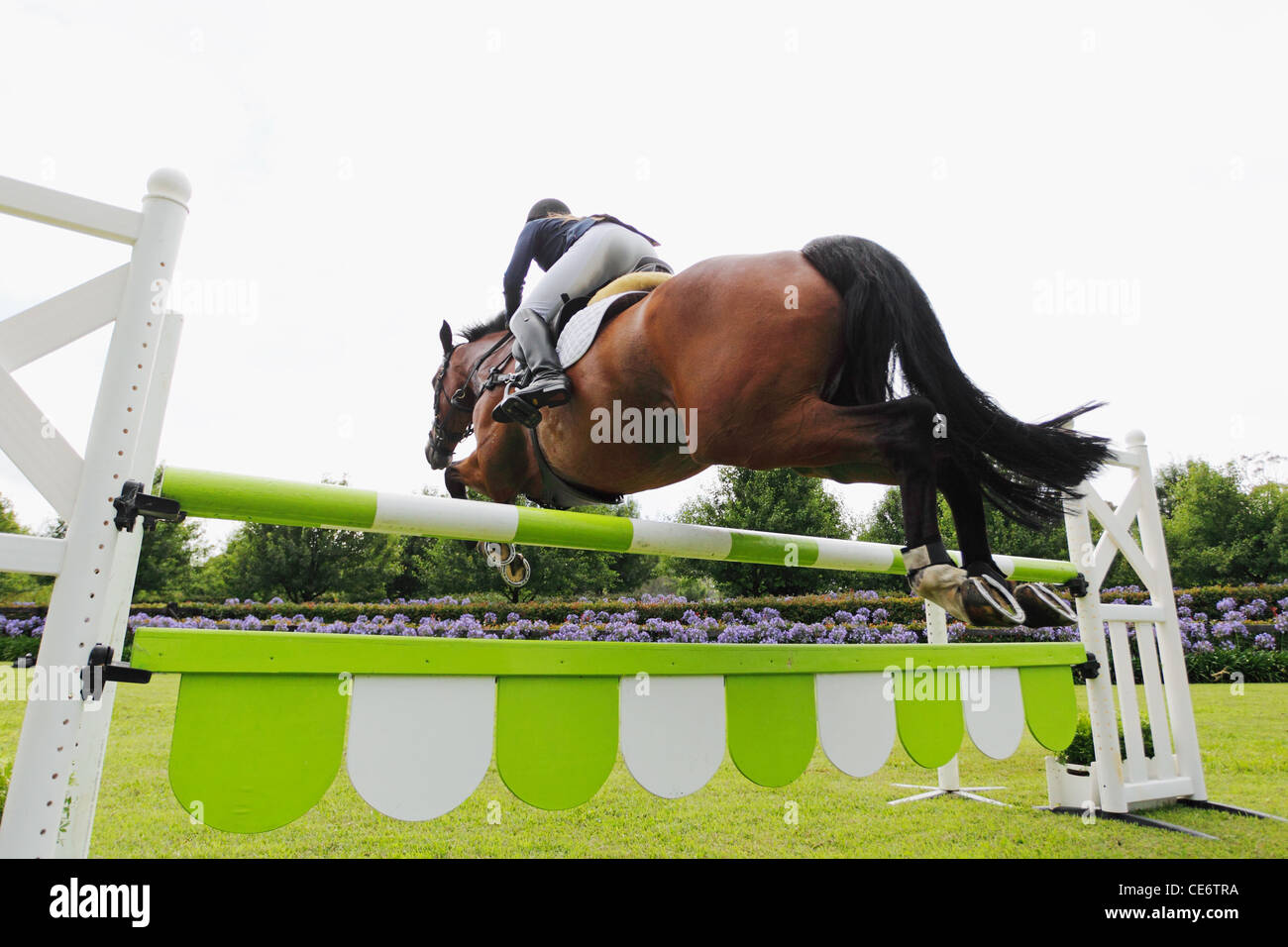 Horse Rider Jumping Hurdle Banque D'Images