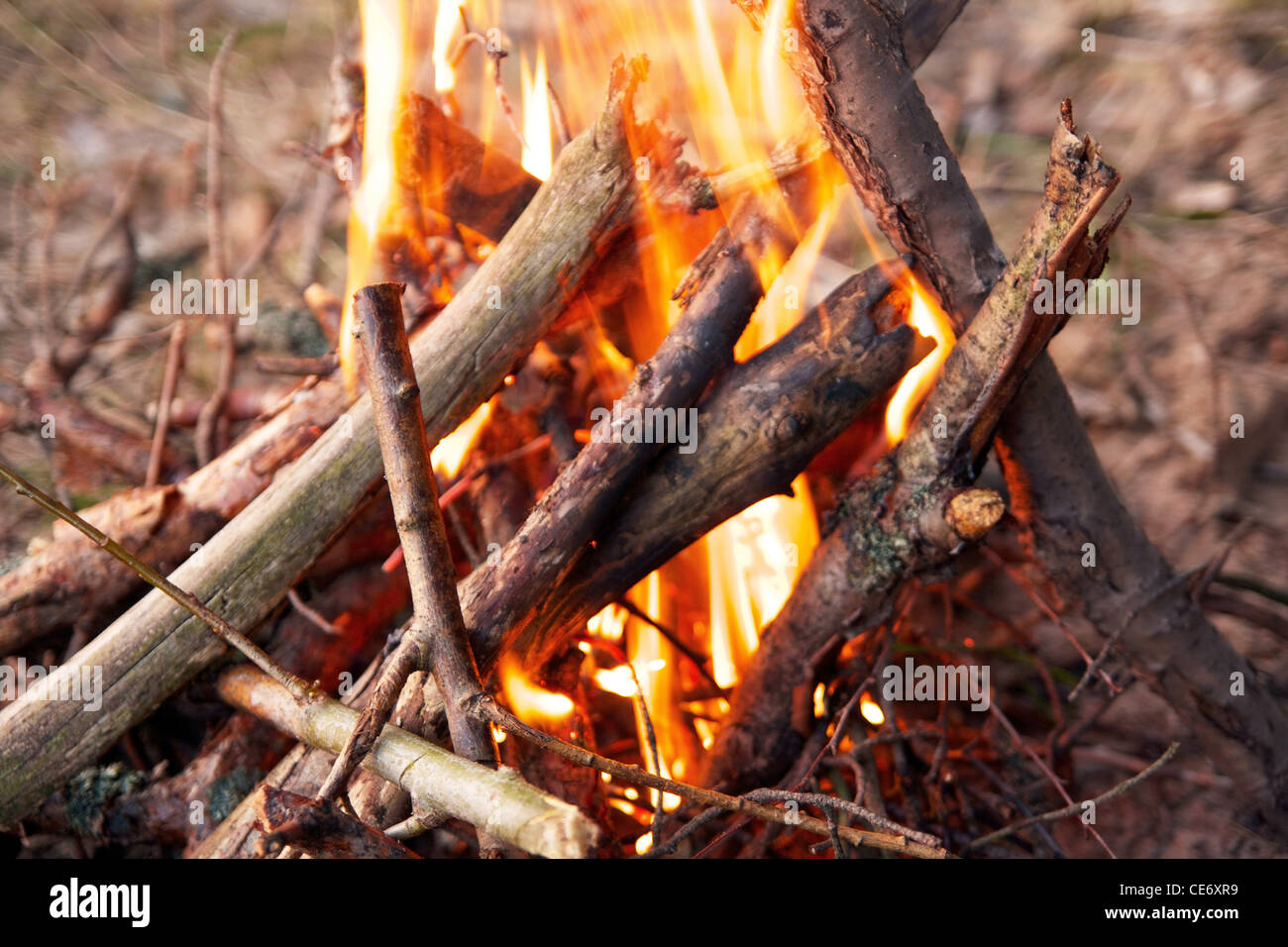 Jusqu'à huis clos dans un feu de camp, des forêts Banque D'Images