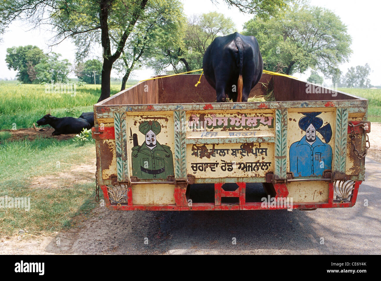 85574 : RVA remorque peint avec buffalo panier punjab ; Inde ; Banque D'Images