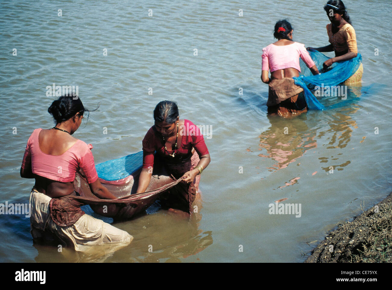 Les femmes indiennes Dadra et Nagar Haveli de pêche du territoire de l'union de l'Inde Banque D'Images