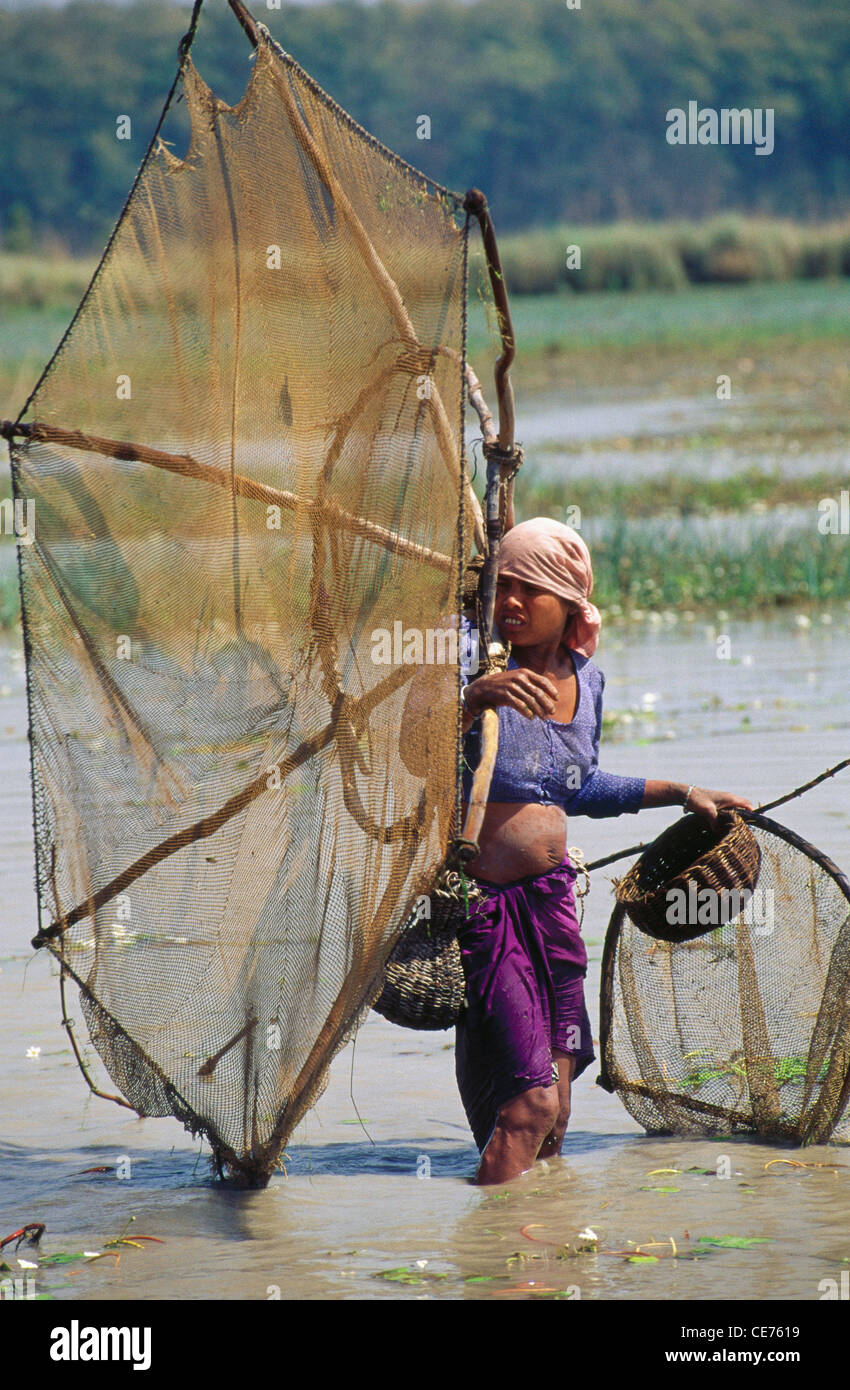 HMA 84706 : Indian Tribal Women Tharu avec filet de pêche dudhwa Uttar Pradesh inde Banque D'Images