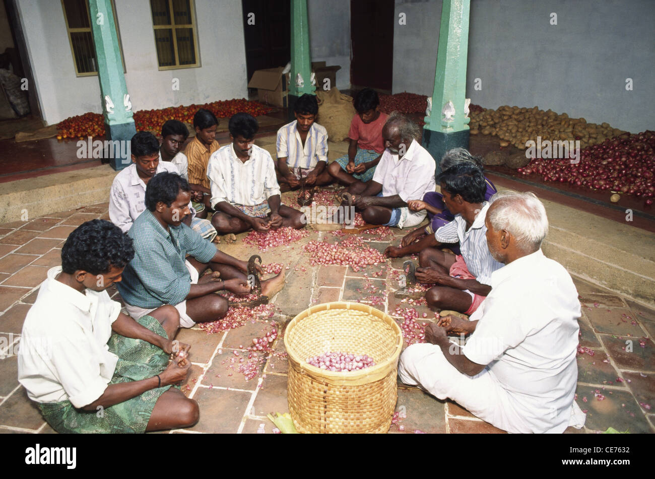 Hommes indiens coupant des oignons pour la cuisine du mariage Chettinad ; Chettinadu ; Tamil Nadu ; Inde ; Asie ; Indien ; asiatique ; dpa 84763 maa ; MR#777A Banque D'Images