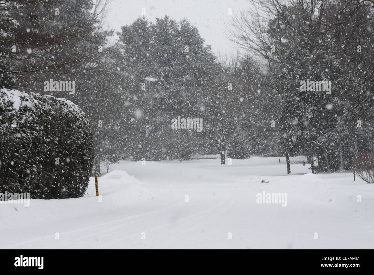 La neige qui tombe sur une route de campagne au Québec Banque D'Images