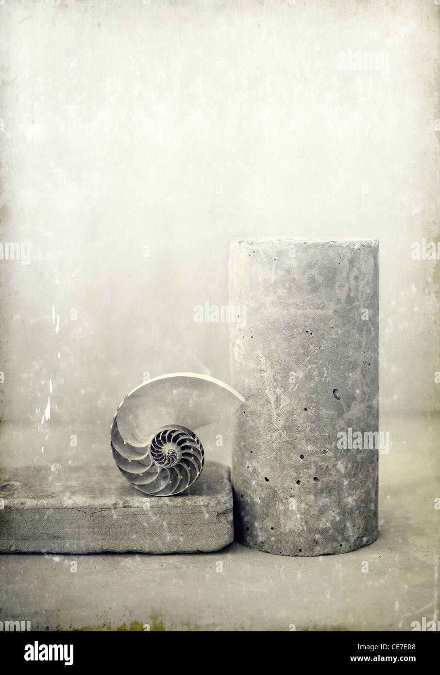 Nautilus shell avec un pilier en béton et en brique. Banque D'Images