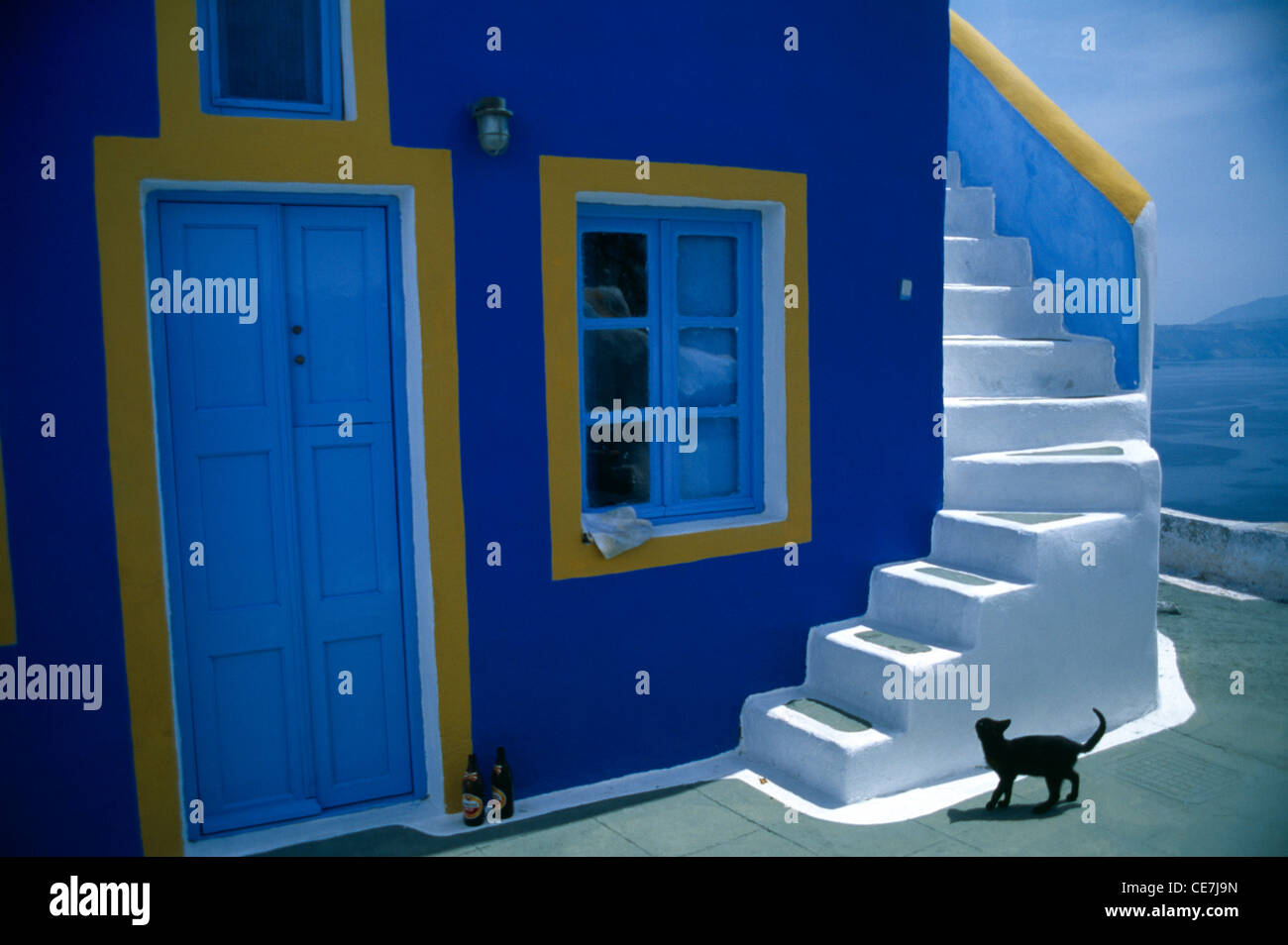 Grèce, les Cyclades, Santorin, Fira, maison peinte en bleu avec blanc marches menant jusqu'au mur extérieur et un chat noir à l'extérieur. Banque D'Images