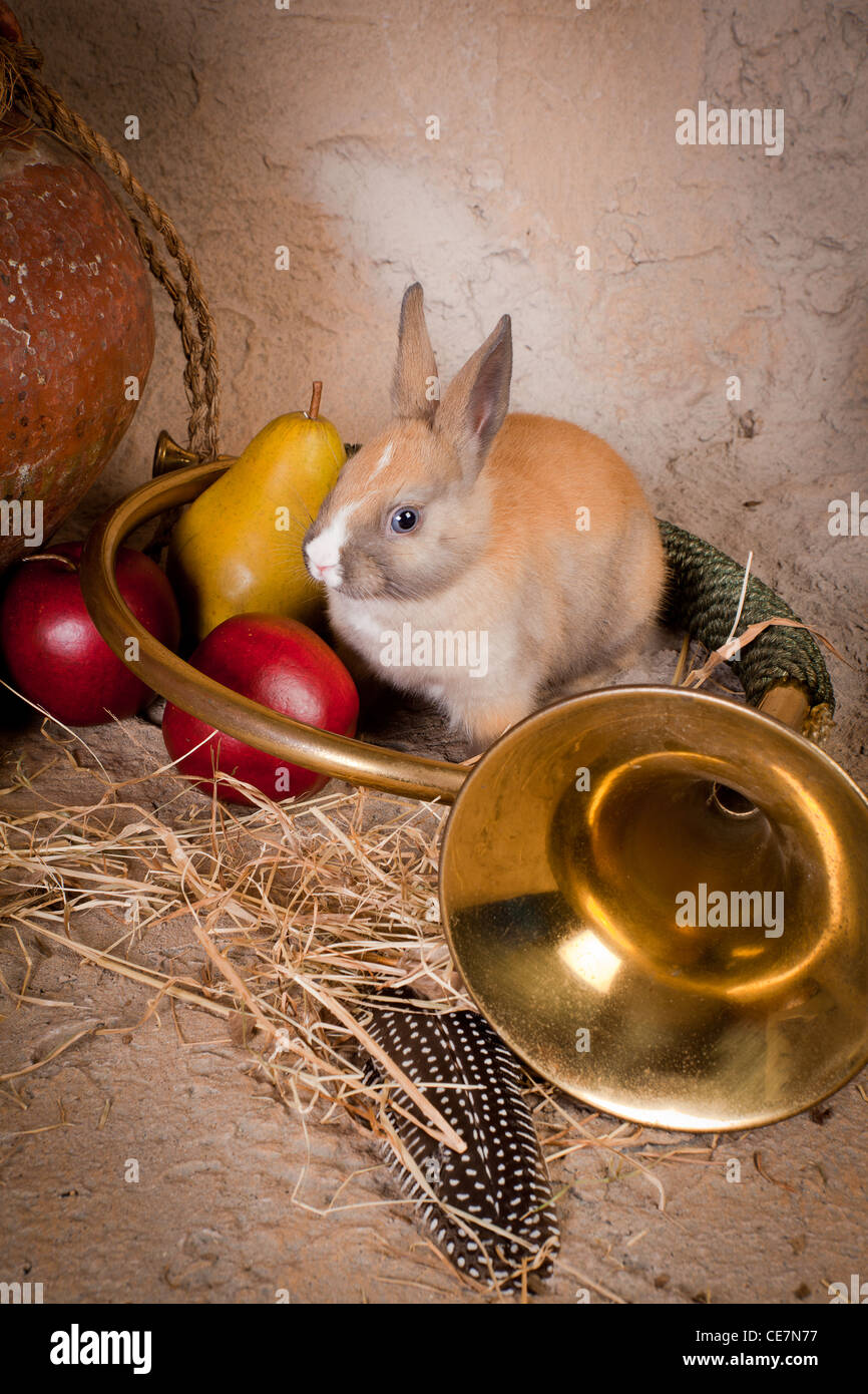 Nature morte avec fruits d'automne, vivre un lapin et un cor de chasse Banque D'Images