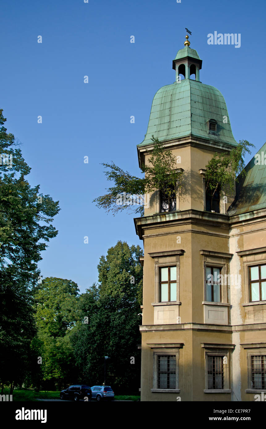 Arbre pousse dans Château Ujazdow via Windows Banque D'Images