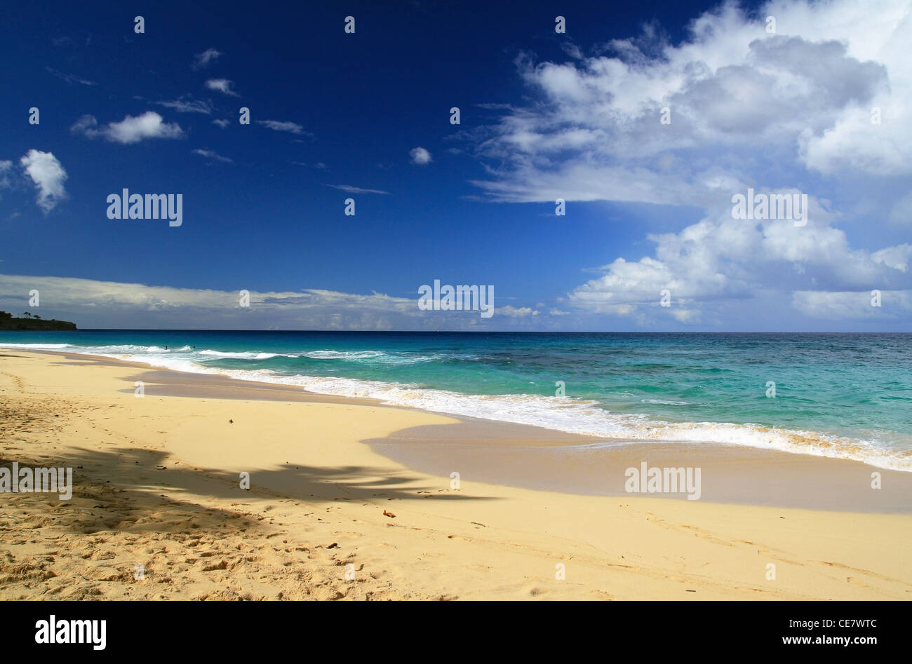 Mer des Caraïbes, plage Banque D'Images