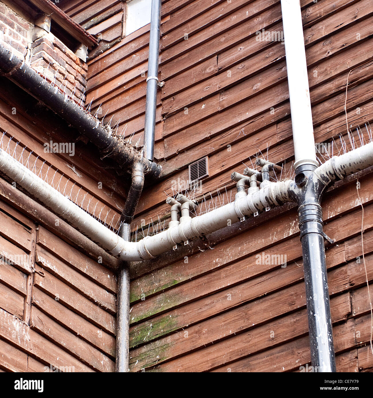 Les pointes de dissuasion contre les ravageurs Pigeon sur gouttières Pest Control Banque D'Images