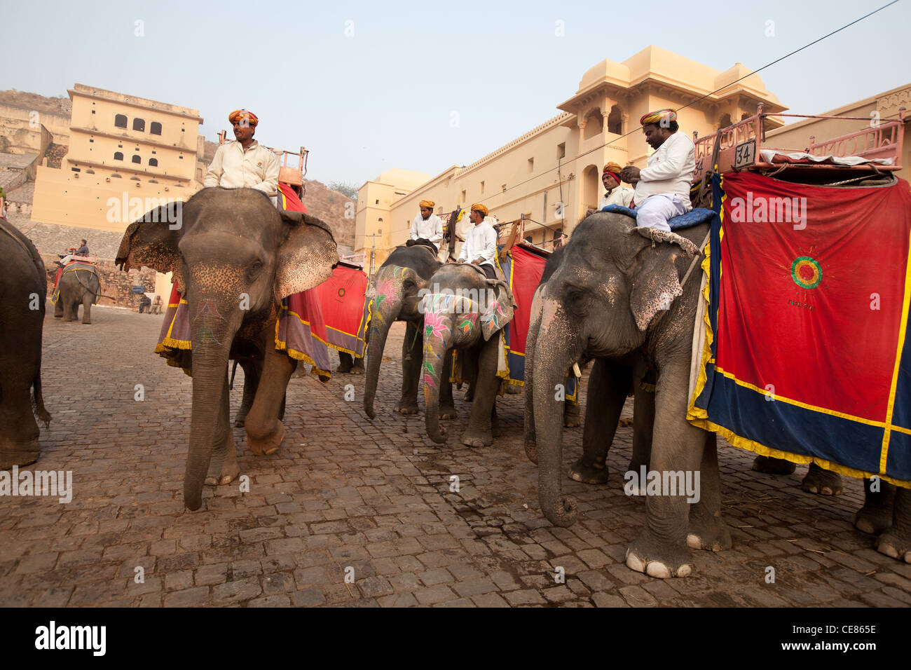 Les éléphants les touristes ferry la colline raide à Fort Amber, à l'extérieur de Jaipur, au Rajasthan, Inde Banque D'Images