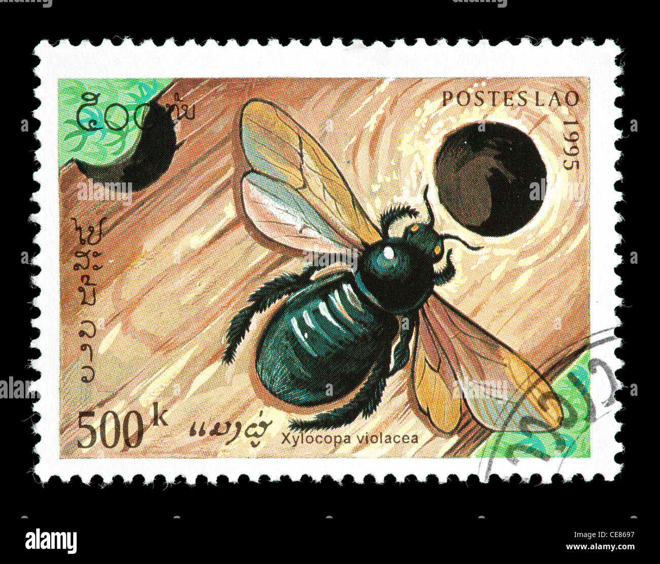 Timbre-poste du Laos décrivant le violet abeille charpentière (Xylocopa violacea) et l'imbrication trou. Banque D'Images