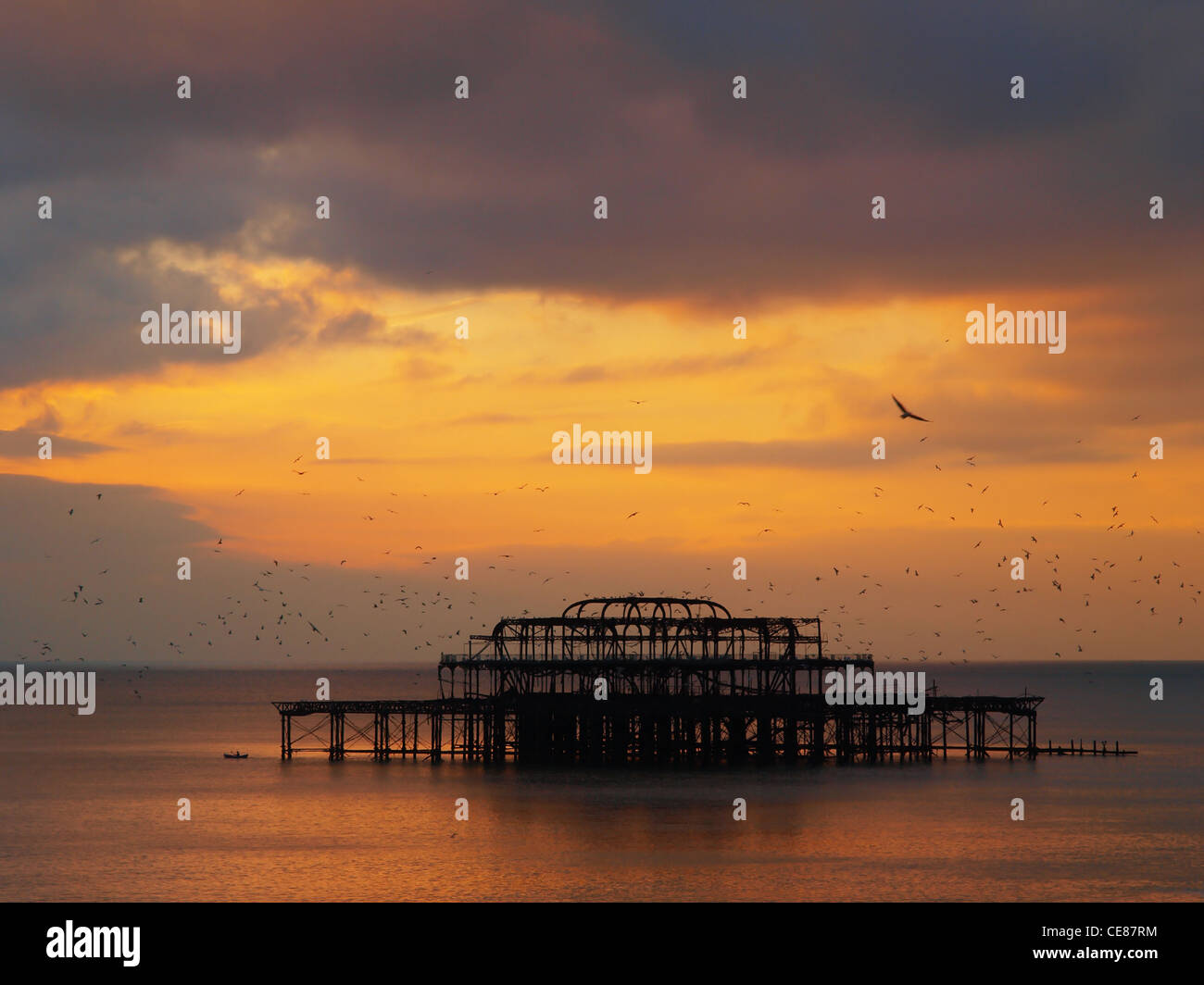 Troupeaux de Seagulls Fly sur la hantise silhouette de Brighton West Pier, que le soleil couchant allume un ciel brillant. Banque D'Images