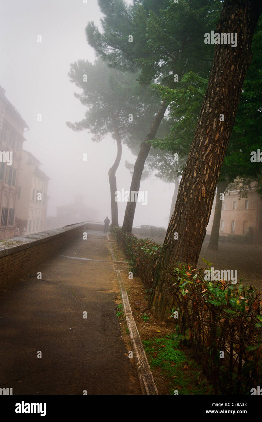 Arbres dans le brouillard à Sienne, Italie avec man walking along path Banque D'Images
