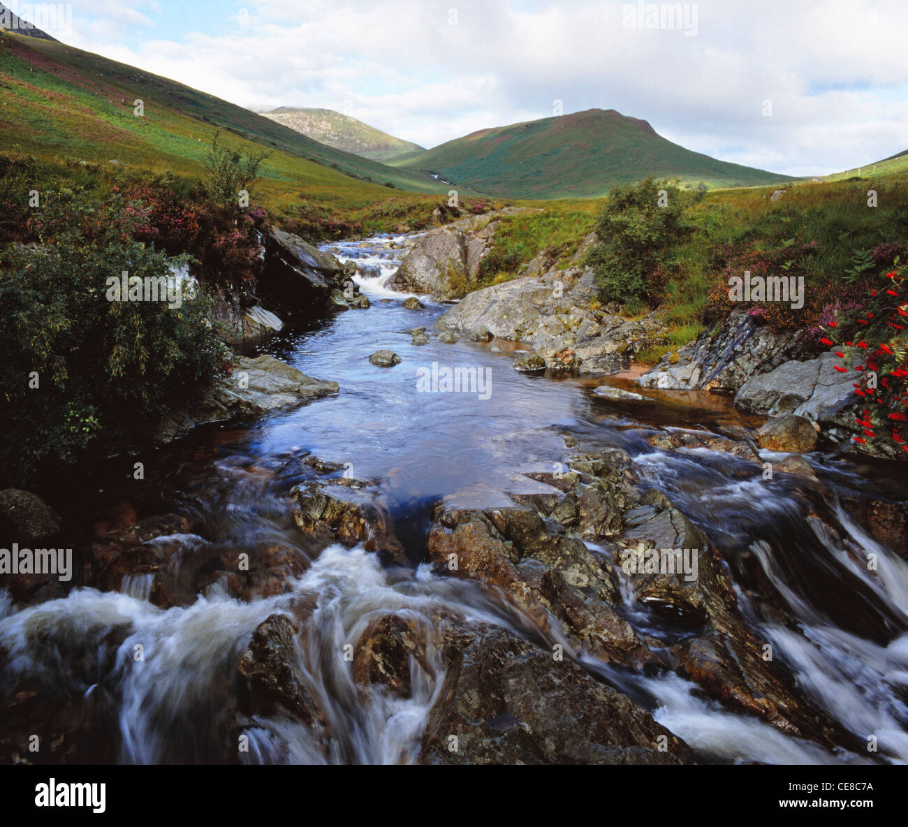 Paysage typique, près de Sannox, Isle of Arran, Ecosse Banque D'Images